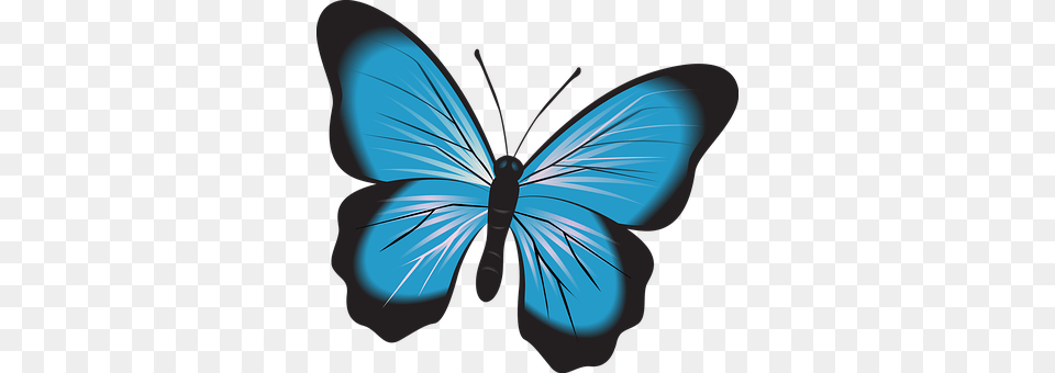 Butterfly Baby, Person, Animal, Insect Png Image