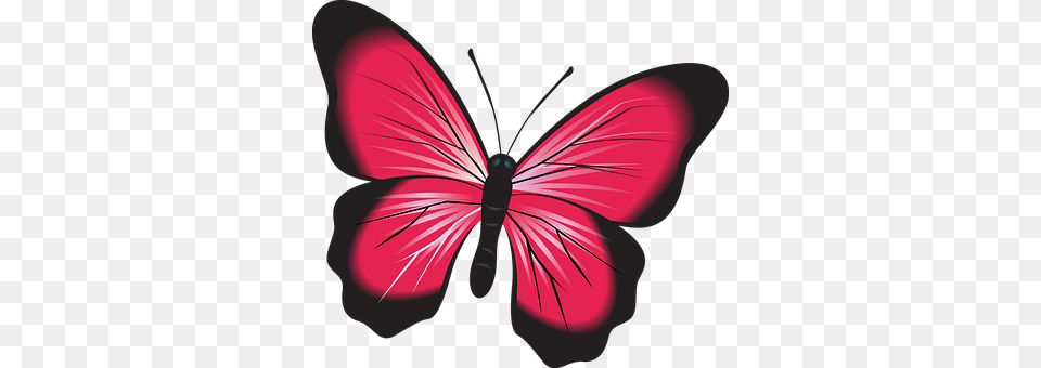 Butterfly Person, Art, Animal, Flower Free Png Download