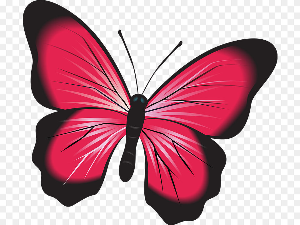 Butterfly Person, Art, Animal, Flower Free Png