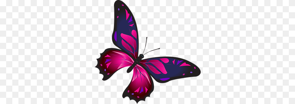 Butterfly Purple, Plant, Petal, Pattern Png Image
