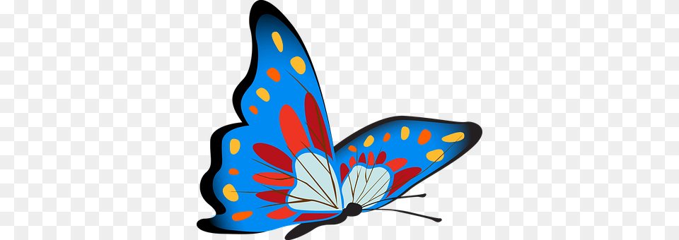 Butterfly Animal, Insect, Invertebrate Png Image