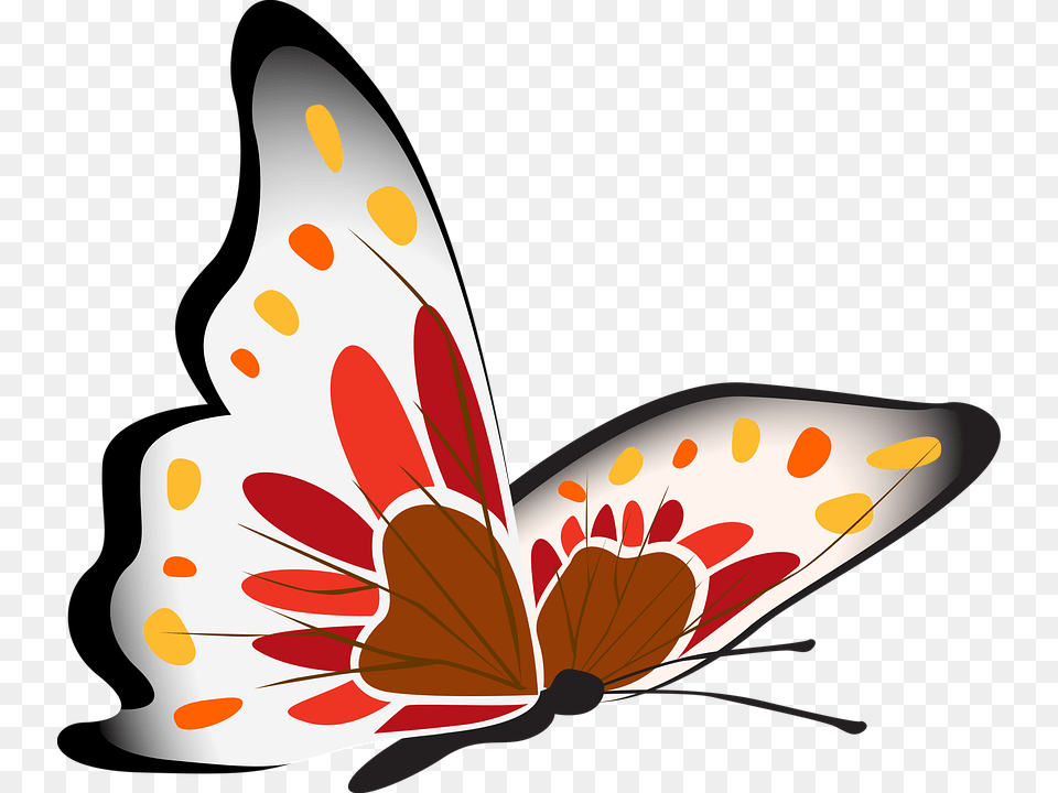 Butterfly Anther, Flower, Petal, Plant Free Png Download