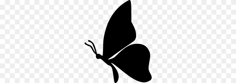 Butterfly Gray Free Transparent Png