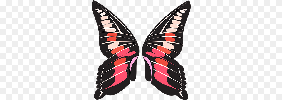Butterfly Animal, Insect, Invertebrate, Dynamite Free Png Download