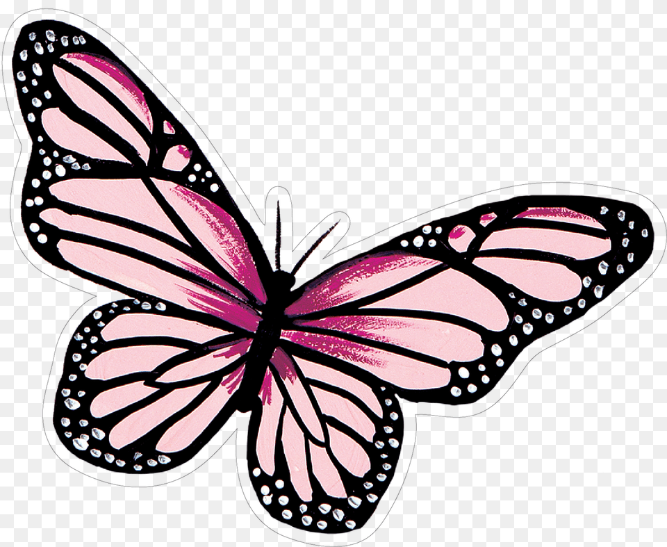 Butterfly, Animal, Insect, Invertebrate, Monarch Free Transparent Png