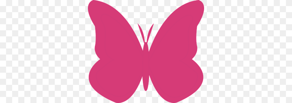 Butterfly Flower, Petal, Plant, Home Decor Free Png