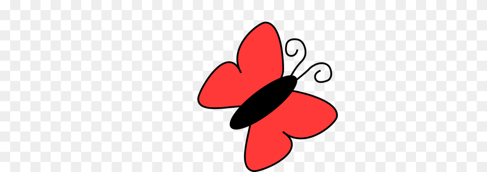 Butterfly Hat, Clothing, Accessories, Formal Wear Free Png