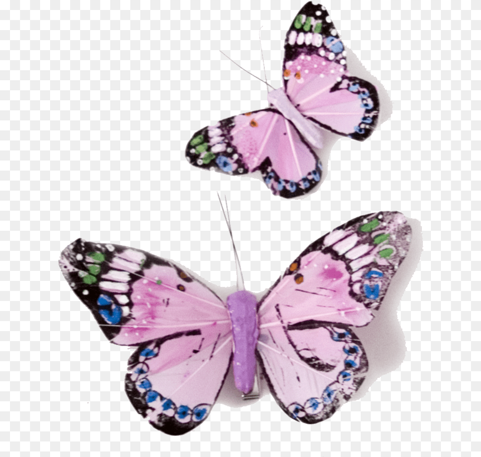 Butterfly, Accessories, Person, Animal, Insect Png Image