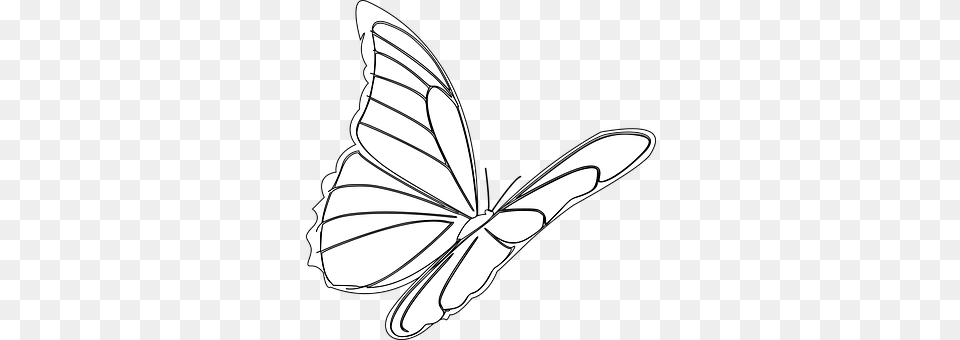Butterfly Art, Stencil, Animal, Fish Free Transparent Png