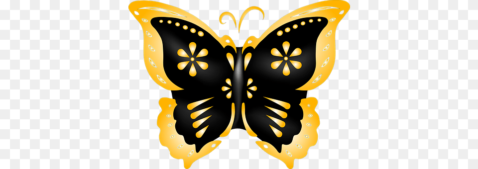 Butterfly Png Image