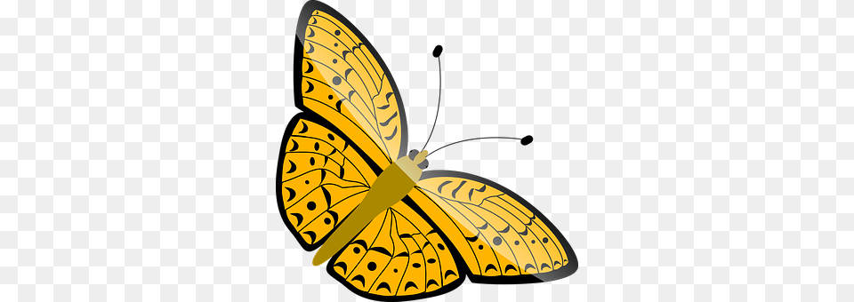 Butterfly Animal, Insect, Invertebrate, Reptile Free Png