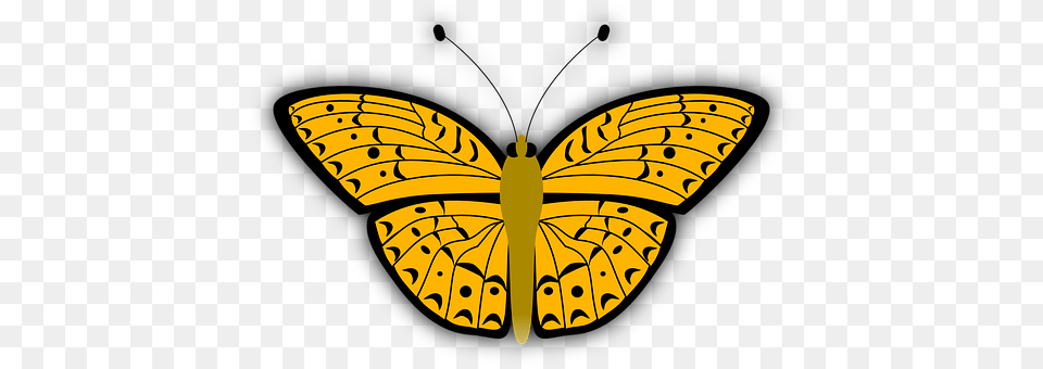 Butterfly Animal, Insect, Invertebrate Free Png