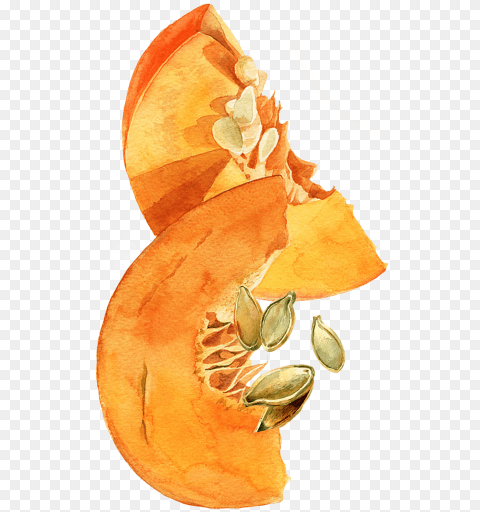 Butterfly, Food, Produce, Plant, Pumpkin Free Transparent Png