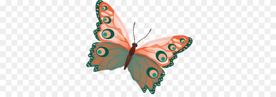 Butterfly Animal, Insect, Invertebrate, Art Png Image