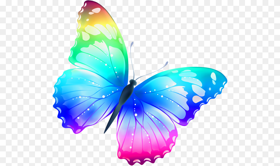 Butterfly, Animal, Insect, Invertebrate Free Png