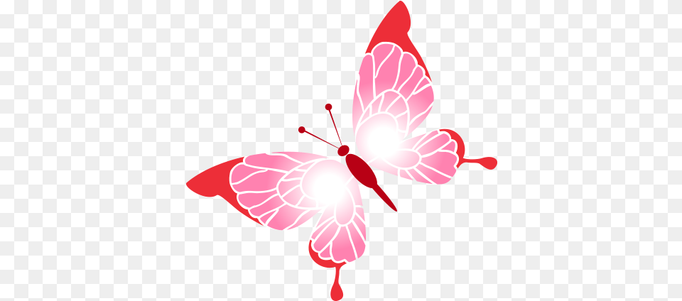 Butterfly, Flower, Petal, Plant, Hibiscus Png Image