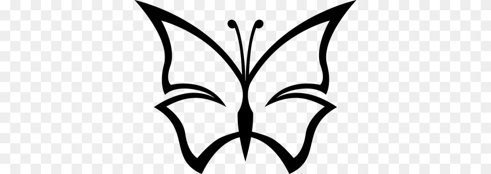 Butterfly Gray Png