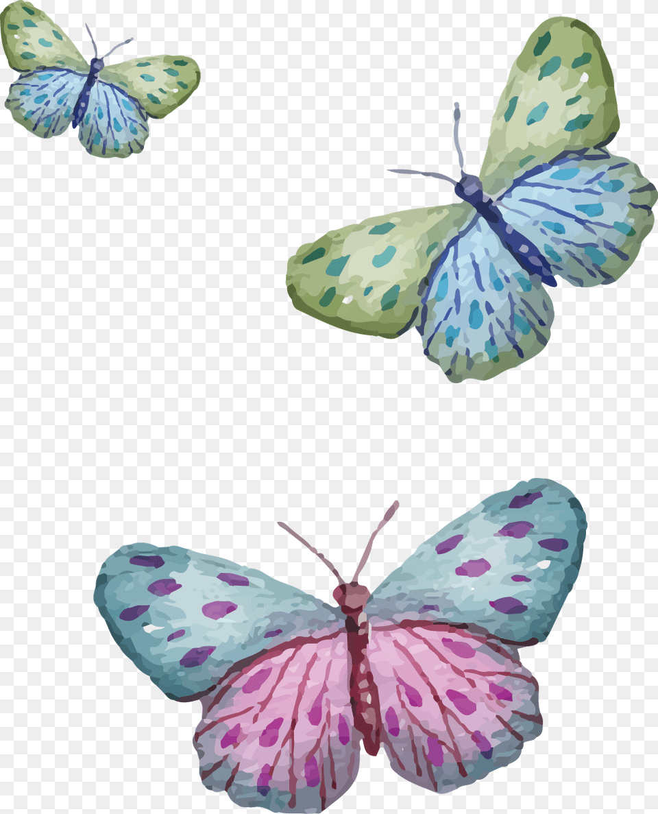 Butterfly, Art, Person, Animal, Insect Free Transparent Png