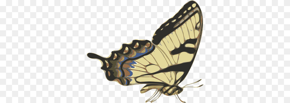 Butterfly Animal, Insect, Invertebrate, Smoke Pipe Png Image
