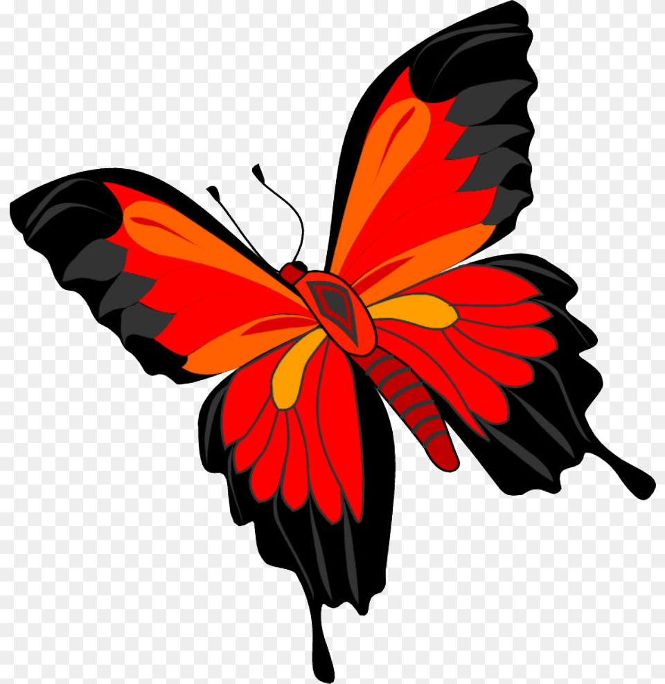 Butterfly, Flower, Plant, Animal, Bird Png