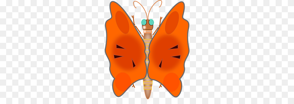 Butterfly Accessories, Animal, Bee, Insect Png