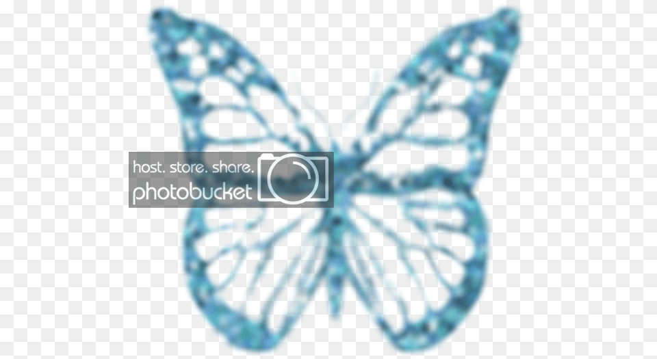 Butterfly, Accessories, Jewelry, Gemstone, Diamond Png Image