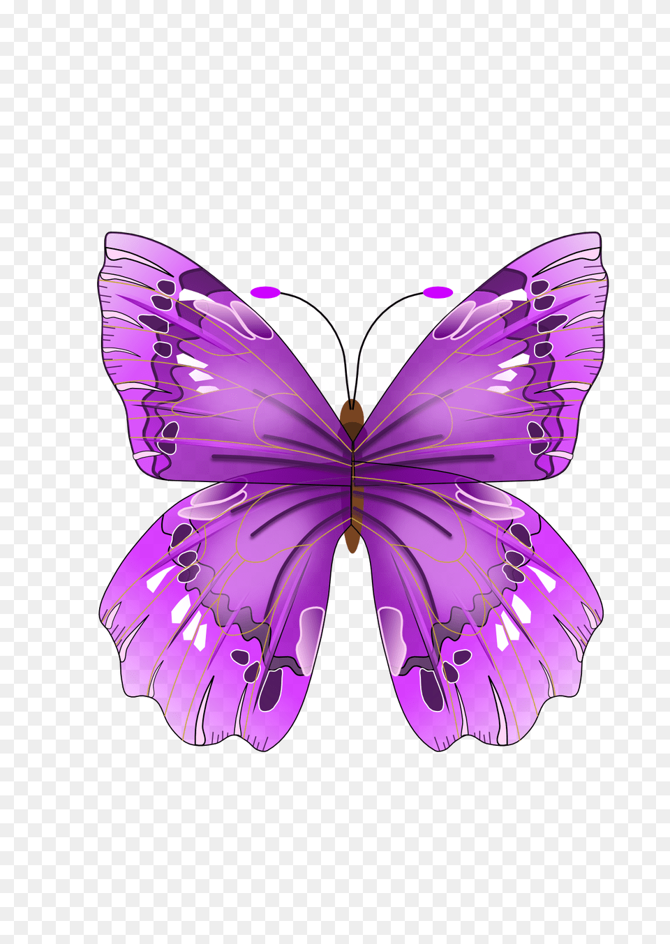Butterfly, Purple, Art, Graphics, Diaper Png Image