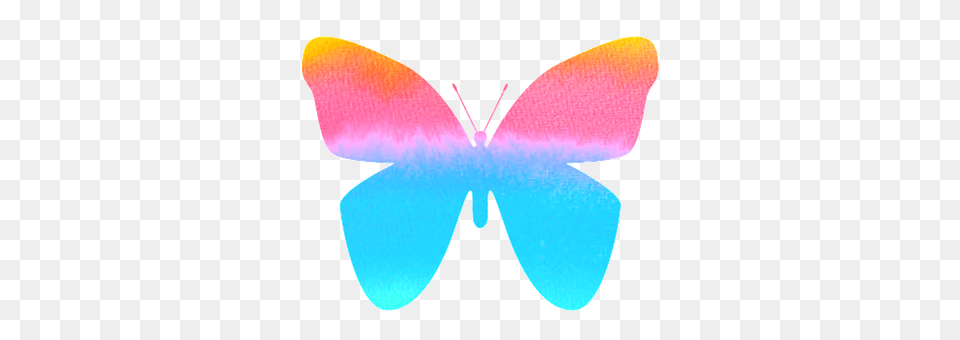 Butterfly Animal, Art Png