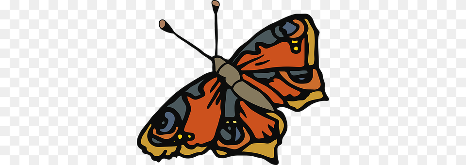 Butterfly Animal, Insect, Invertebrate, Person Free Transparent Png