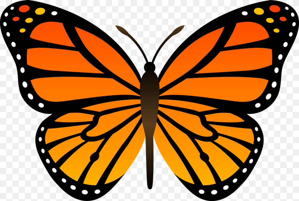 Butterfly, Animal, Insect, Invertebrate, Monarch Free Png