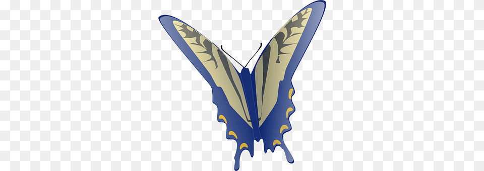 Butterfly Animal, Bird, Flying Png