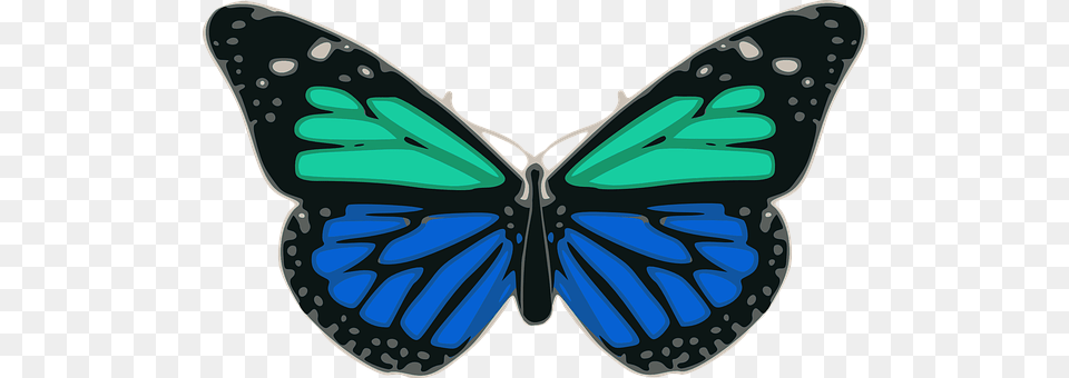 Butterfly Animal, Insect, Invertebrate Free Png