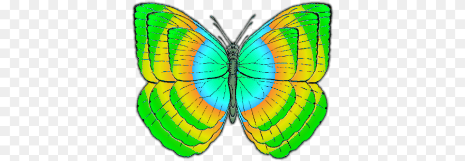 Butterfly, Animal, Insect, Invertebrate, Art Png Image