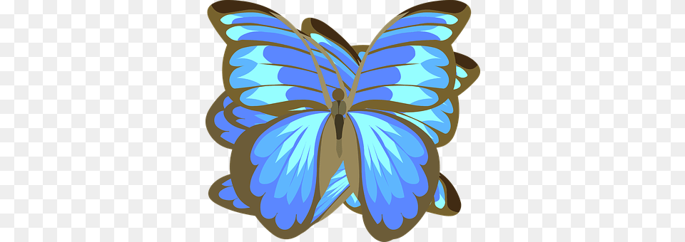 Butterfly Animal, Insect, Invertebrate, Baby Free Png Download