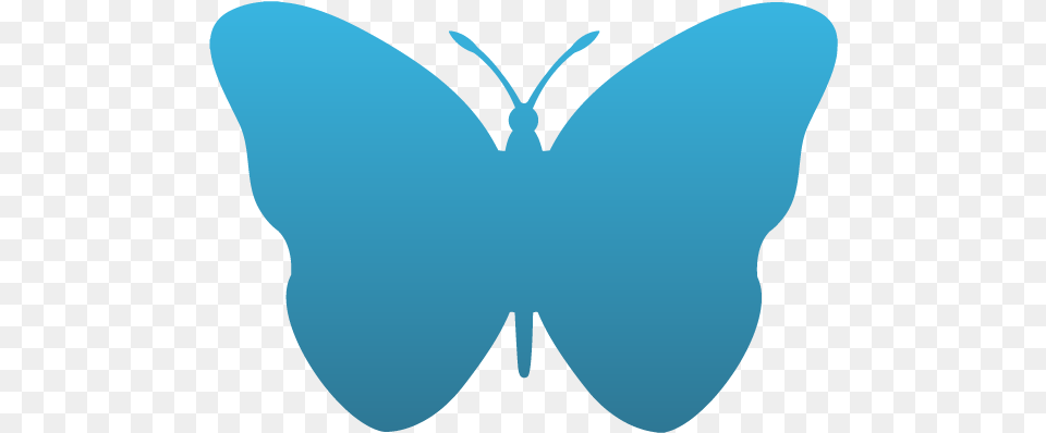 Butterfly, Animal, Insect, Invertebrate, Moth Free Png