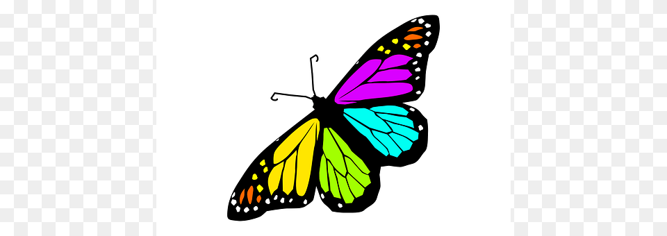 Butterfly Animal, Insect, Invertebrate, Monarch Free Png Download