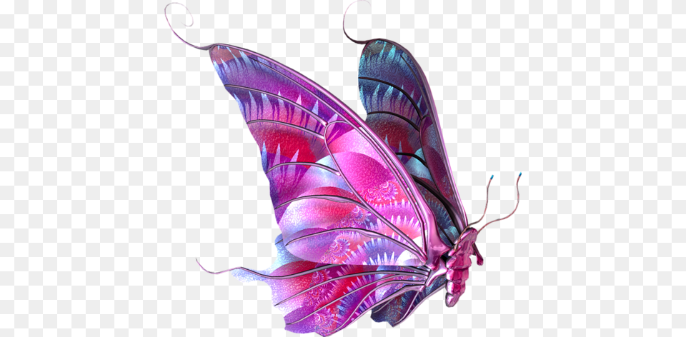 Butterfly, Graphics, Art, Invertebrate, Insect Free Transparent Png