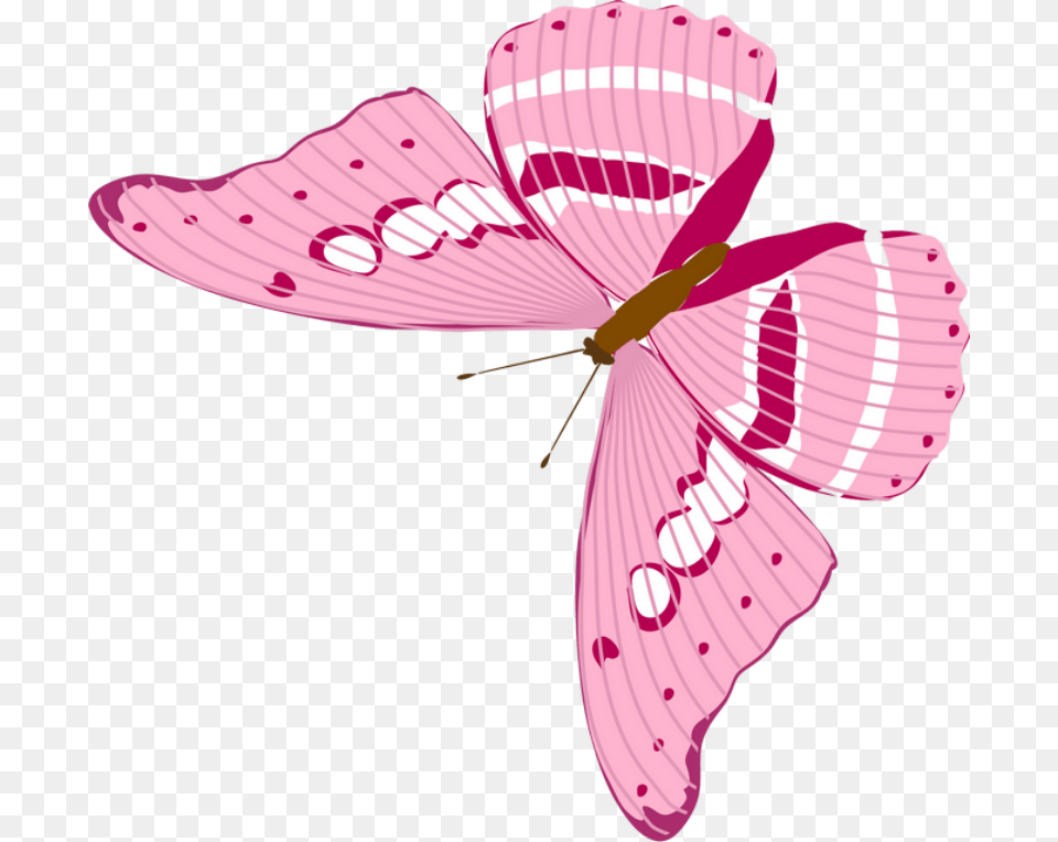 Butterfly, Flower, Plant, Animal, Petal Free Png Download