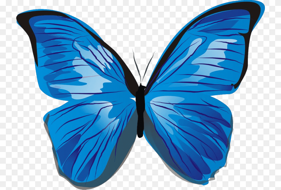 Butterfly, Animal, Insect, Invertebrate, Person Free Transparent Png