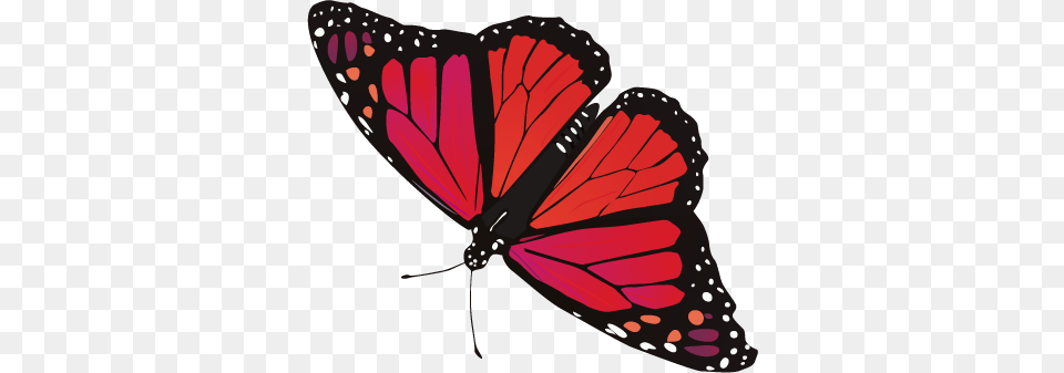 Butterfly, Animal, Insect, Invertebrate, Monarch Png