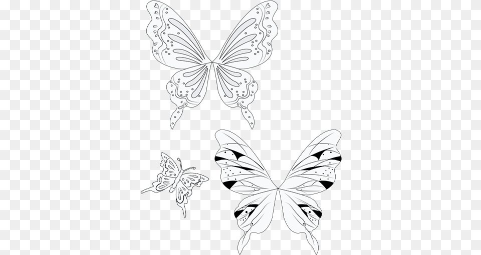 Butterfly Accessories And Wings Love Live Fairy Wings, Stencil, Art, Person Free Transparent Png