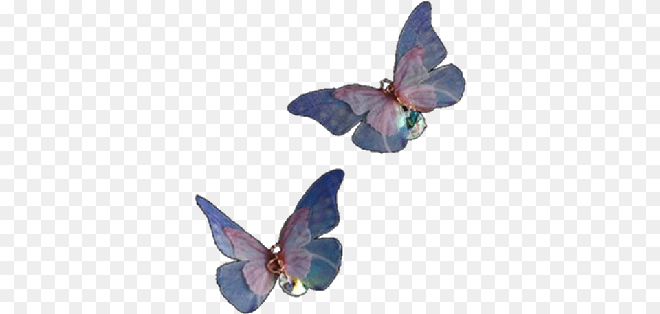 Butterfly Aesthetic Purple Lila Niche Soft Cute Gru Butterfly Aesthetic, Accessories, Earring, Jewelry, Animal Png