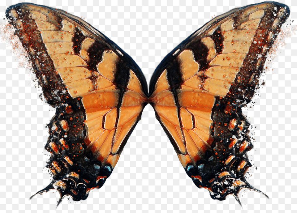 Butterfly Alas En Iphone, Animal, Insect, Invertebrate Free Transparent Png