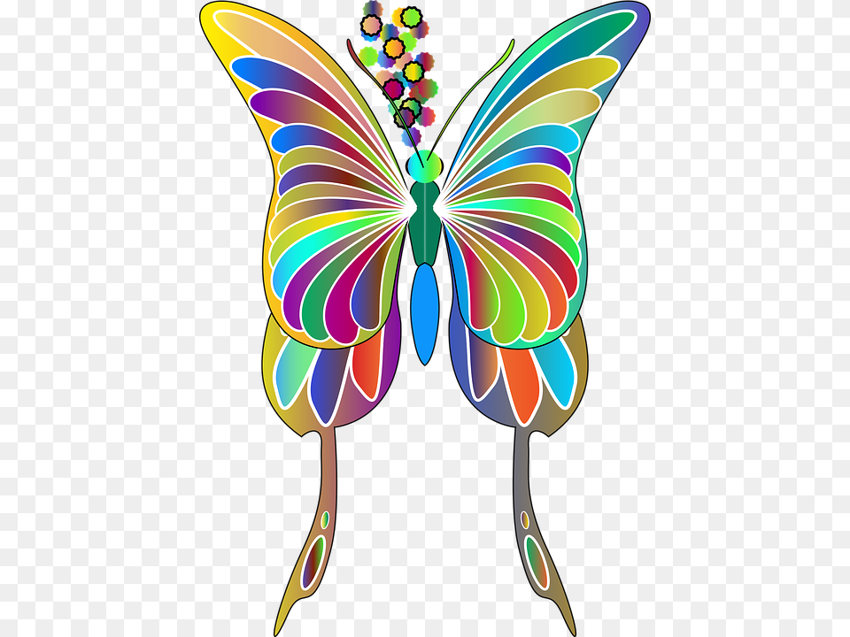 Butterfly Animal Insect Flying Wings Colorful Butterfly, Graphics, Art, Pattern, Floral Design Free Png