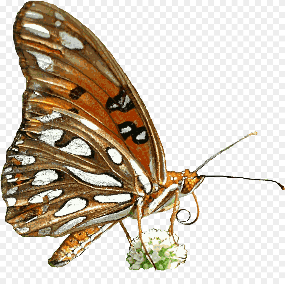 Butterfly Animation 3 Image Butterfly Animation Clipart, Animal, Insect, Invertebrate, Monarch Free Png Download