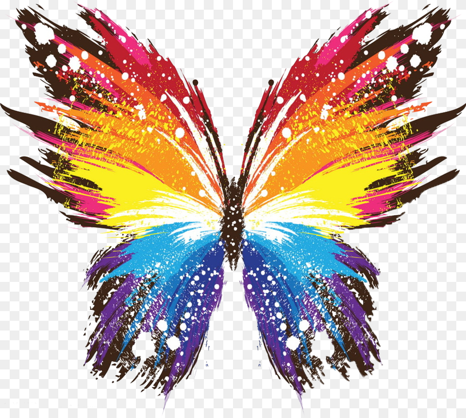 Butterfly Art Color Free Png Download