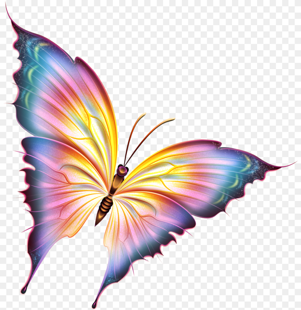 Butterfly Beautiful, Accessories, Fractal, Ornament, Pattern Free Png