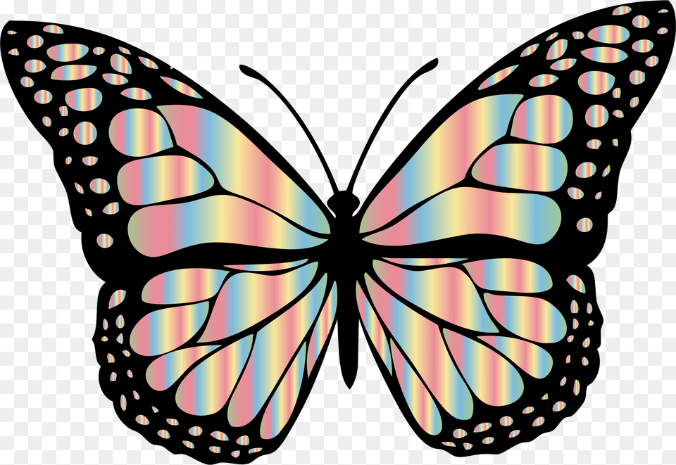 Butterfly Black And Grey Butterfly, Art, Animal, Dynamite, Insect Free Png Download