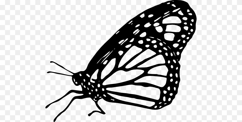 Butterfly Black And White Monarch Butterfly Clipart Monarch Butterfly Drawing Side, Animal, Insect, Invertebrate Free Png Download