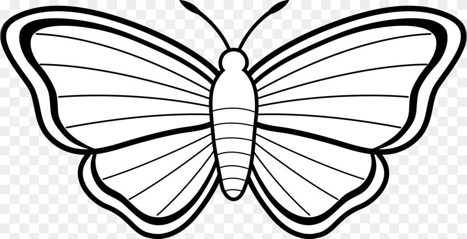 Butterfly Black Black And White Butterflies Pictures Butterfly Coloring Pages, Stencil, Art, Drawing, Chandelier Free Transparent Png